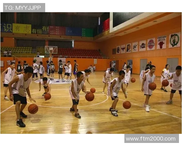 武汉篮球队的转型升级之路：从传统到现代的全面革新探讨